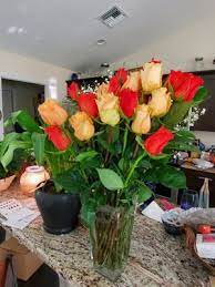 Popular flowers and arrangements for port st. Flowers By Susan 43 Photos 31 Reviews Florists 130 Sw Port St Lucie Blvd Port St Lucie Fl Phone Number Yelp
