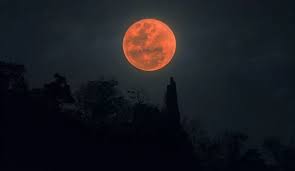 Como sembrar con la luna 2021 cultivar con fases lunares calendario lunar. Hkj Dvc5vzbypm