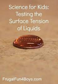Science Experiment For Kids Testing The Surface Tension Of Liquids Frugal Fun For Boys And Girls Science Experiments Kids Science Experiments Kid Experiments