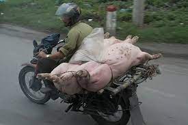 Pin On Amazing Motorbike