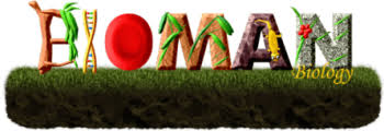 It is both part of meiosis and the cell does normal activities during interphase. Home
