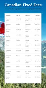 We did not find results for: Paypal International Fees 4 Fees You Need To Know