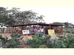 IRPAA - Instituto Regional da Pequena Agropecuária Apropriada
