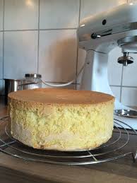 Einfaches Biskuit Grundrezept Grundrezept Kuchen Rezept Kekse Biskuitboden Rezept Einfach