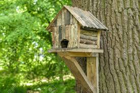 Además, a diferencia de las jaulas, permiten a los animales volar libremente, entrando y saliendo cuando lo necesiten. Casa Del Arbol De Madera Para Pajaros Fotos Retratos Imagenes Y Fotografia De Archivo Libres De Derecho Image 61114901
