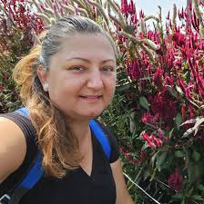 Zodiac academy book series review