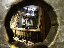 Image result for Manniella gustavi