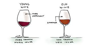 12 Fascinating Health Facts About Red Wine Wine Folly Wine Aging Wine Facts White Wine Grapes