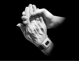 hands, old, young, holding, caring, friends, family, wrinkled, hold, human,  aged | Pikist