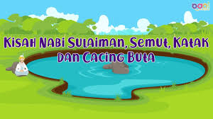 Sebagian kecil dari ciptaan itu tinggal di dekat kita. Kisah Nabi Sulaiman Semut Katak Dan Cacing Buta Youtube