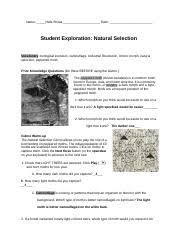 Copy Of Natural Selection Gizmo Worksheet Name Date Student Exploration Natural Selection Vocabulary Biological Evolution Camouflage Industrial Course Hero
