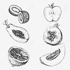 Check spelling or type a new query. Lukisan Buah Epal Hitam Putih Cikimm Com
