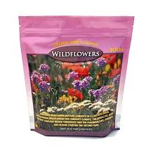 Most desert wildflowers are planted in fall/winter in the desert, early spring in cooler climates. Wildflower Seed Mix 300 Gram Solacity Inc