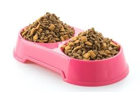 Low fat dog food recipes, and toppers &amp; The Best Homemade Dog Food Recipes 82 Easy Diy Meals For Your Pup