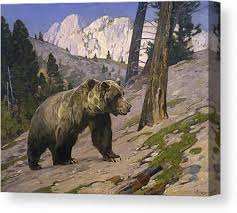 Grizzlies are massive animals with humped shoulders and an elevated forehead that contributes to a somewhat concave profile. Mexican Silver Canvas Prints Fine Art America