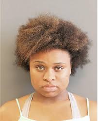 ᐅ Illinois Criminal Records 2009-2026