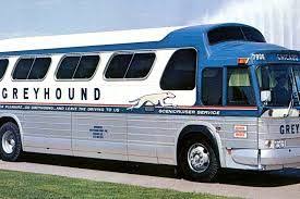 Image Result For Greyhound Bus Greyhound Greyhound Bus Bus City