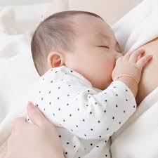 Certification is offered by the international board of lactation consultant examiners (iblce) by exam. Lakewood Ranch Lactation