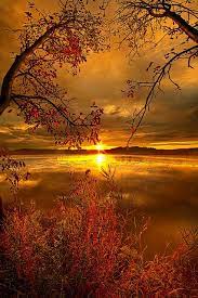 Nature photographs with more than 10,000 prints to choose from, nature lovers are sure to find an array of beautiful photographs here. Loggardenia Beautiful Nature Nature Photography Nature