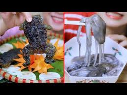 Canli Ahtapot Ve Kurbaga Yiyen Kadin Youtube