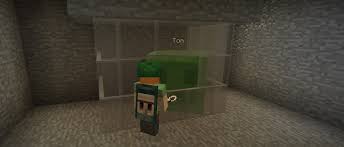 A named zombie villager keeps its name when cured. Taking Inventory Name Tag Minecraft