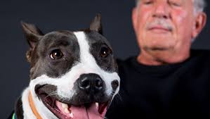 'I Love My Pet!' photo event: Part II