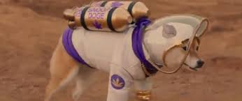 공지다음 뉴스가 언론사 선택 기능을 제공합니다. Szk75hnbrjjetm