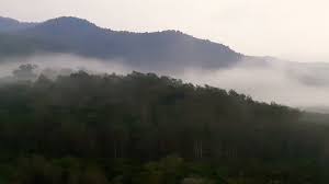 Unfortunately, my mom lost her phone (it was stolen actually) Kledang Saiong Forest Eco Park Youtube