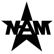 Image result for anarchist sound system logo