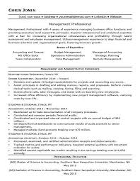 41 By Mid Career Resume Samples Resume Format