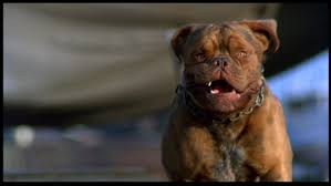 Film Turner And Hooch Guest Post By Jan The House Of Two Bows é›™å¯¶ä¹‹å±‹