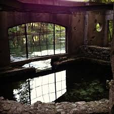 Check spelling or type a new query. Paradise Springs Nature Trail 6 Tips From 171 Visitors