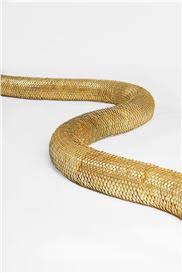 Bildergebnis für Sergei Shekhovtsov