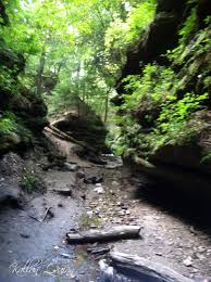 Rock hollow falls canyon nature preserve. Turkey Run State Park Indiana Planned Spontaneity