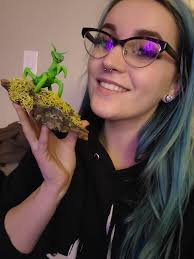 Did we make that big spike in brown recluse Wikipedia page views?