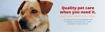 They care and treat my. Veterinary Urgent Care Center Home Facebook