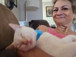 My betta fish named flame says hi to all