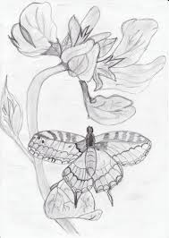 Check spelling or type a new query. Motyl Nice Good Draw Butterfly By Pazio141 On Deviantart