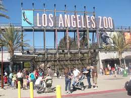 Los Angeles Zoo Los Angeles Ca Kid Friendly Activity Reviews Los Angeles Zoo California Travel California Kids