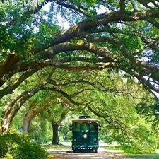 Spent The Day At The Charleston Tea Plantation The Only One Of Its Kind In The Usa Proudly Support Those American Made Goo The Wag Of A Dog S Tail South