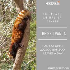 Explore our list of domestic animals names in english. The State Animal Of Sikkim Book Reviews For Kids Charts For Kids Education Poster