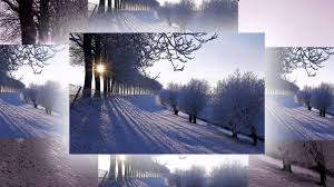 Photographed in front of the tate modern, london. Thomas Loefke The Snowy Birch Trees Youtube