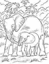 Elephant Coloring Pages Printable Realistic Elephant Coloring Book Page Elephant Coloring Page Coloring Pages Halloween Coloring Pages