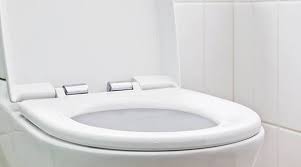 Dirty Potty Clean Like A Pro Mr Clean