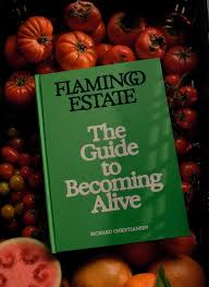 Beyond The Brief: How These Agency Founders Launched Lifestyle Brands