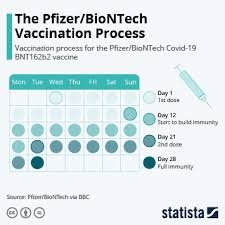 Engages in the discovery, development, and manufacture of healthcare products specializes in medicines, vaccine, and consumer healthcare. Chart 28 Days Later The Pfizer Biontech Vaccination Process Statista