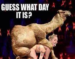 How to make a hump day camel meme? É‡É½Ä'É VlÓ¿É‡ Wear The Fucking Mask On Twitter Let S Just Combine Hump Day And Wcw This Week Http T Co L9nkgiabwf
