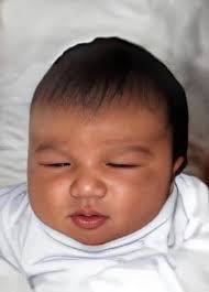 Ethan Warren Obituary (2024)