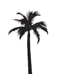 Beach Black And White Palm Tree Clip Art Palm Tree Print Black Palm Tree Palm Tree Art Palm Palm Tree Art Palm Tree Print Palm Tree Silhouette