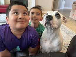 Thank you to the team for helping me find my adopted dog